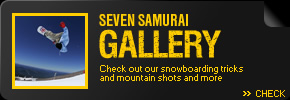 Seven Samurai Gallery